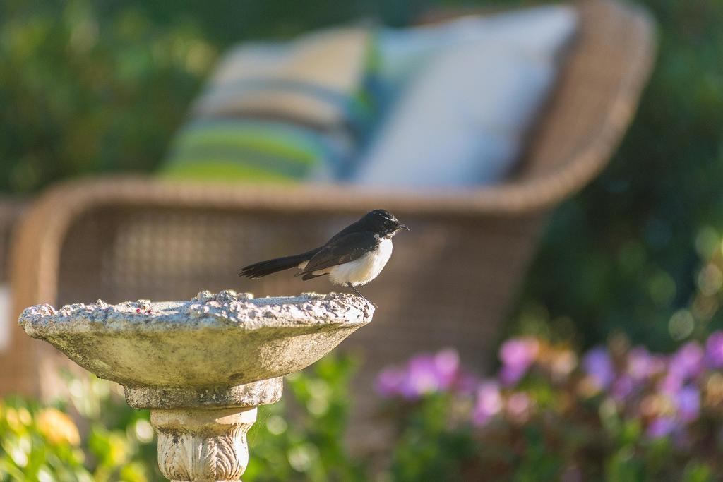 Abelia House Bed and Breakfast Byron Bay Exteriör bild