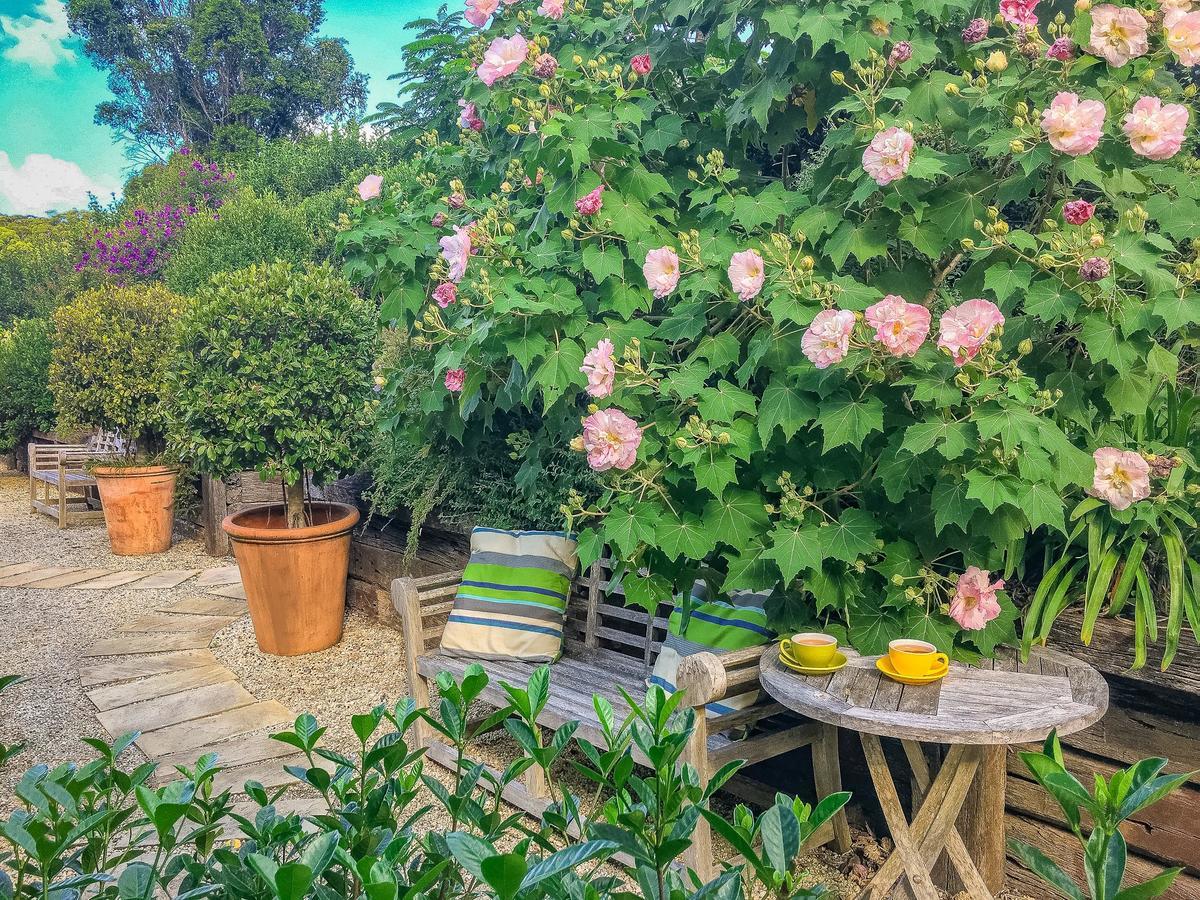 Abelia House Bed and Breakfast Byron Bay Exteriör bild