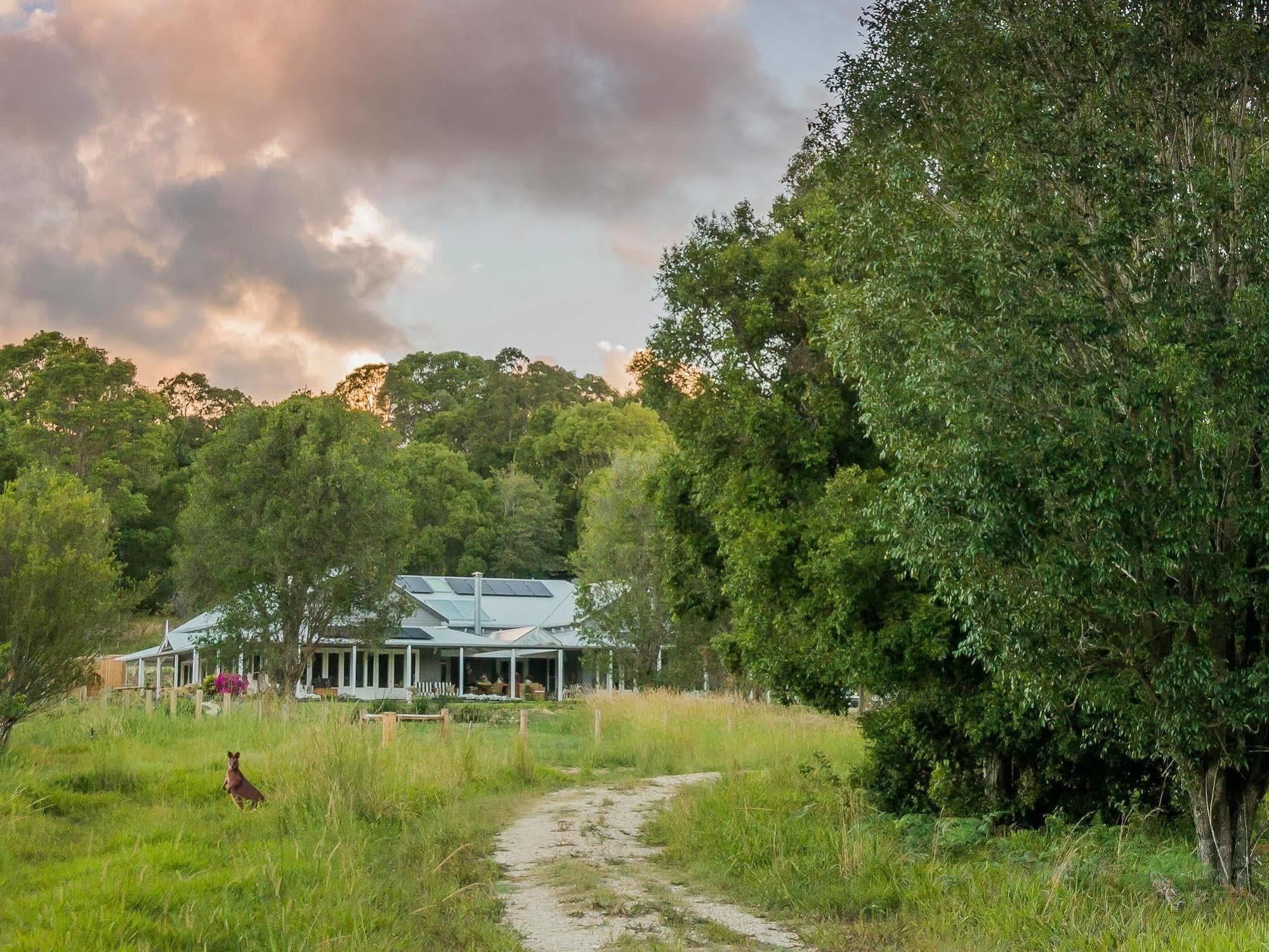 Abelia House Bed and Breakfast Byron Bay Exteriör bild