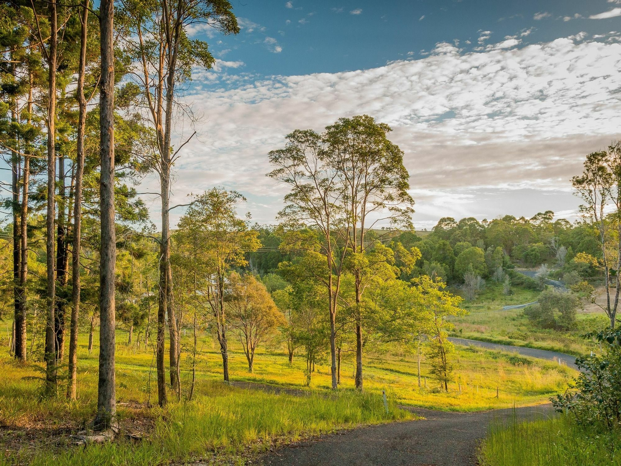 Abelia House Bed and Breakfast Byron Bay Exteriör bild